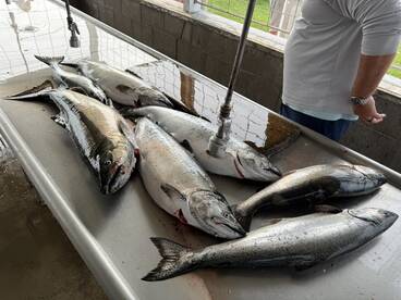 Traverse City Report Photo 1