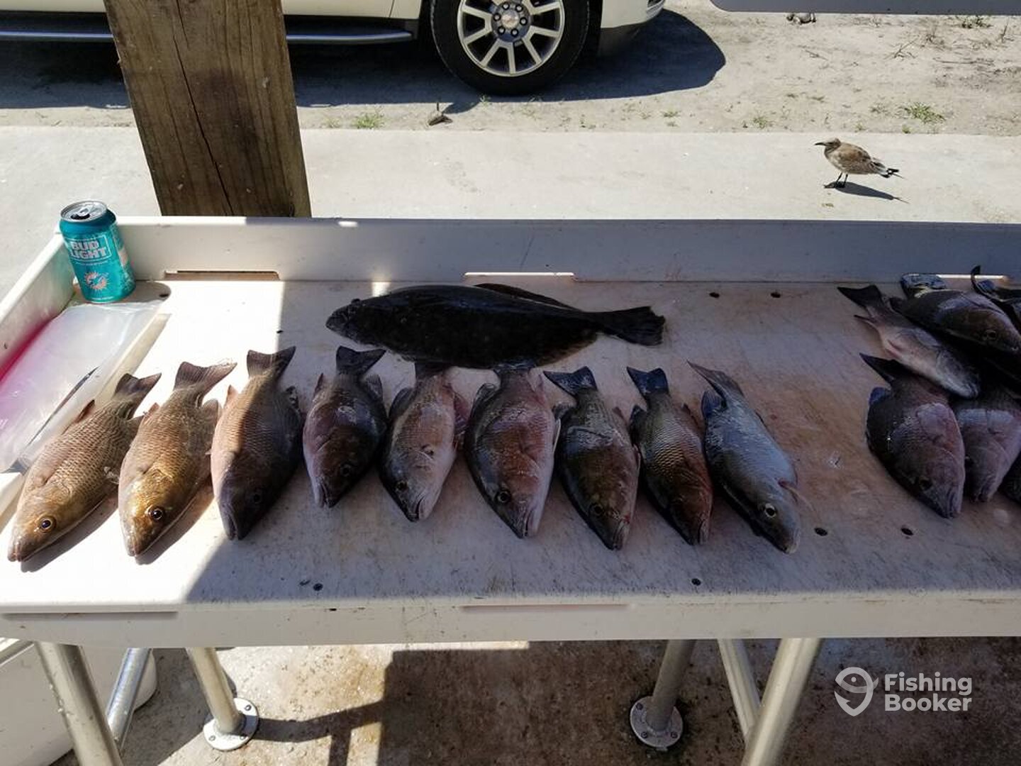 Jacksonville Report Photo 0
