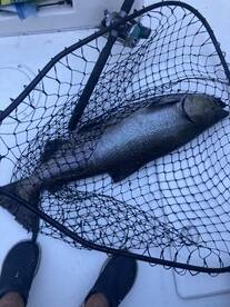 Lake Ontario - Canada Report Photo 1