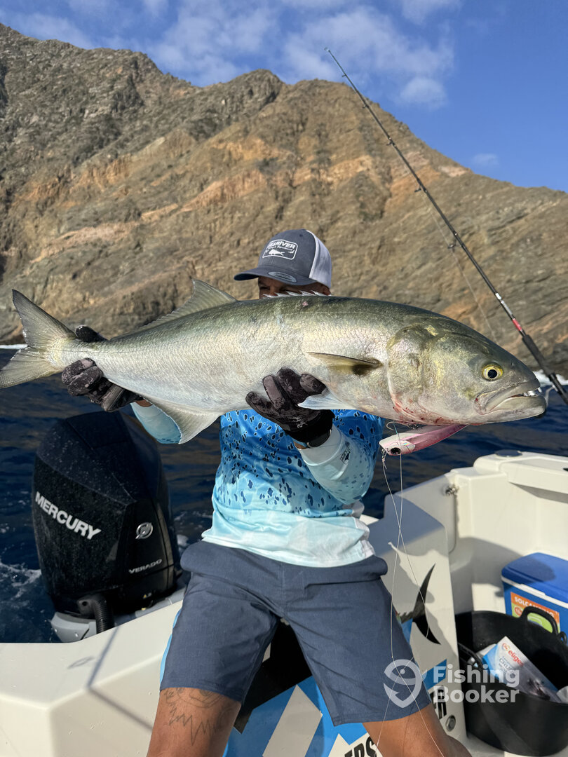 Canary Islands Report Photo 0