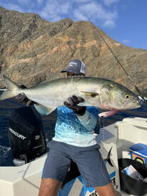 Tenerife Report Photo 1