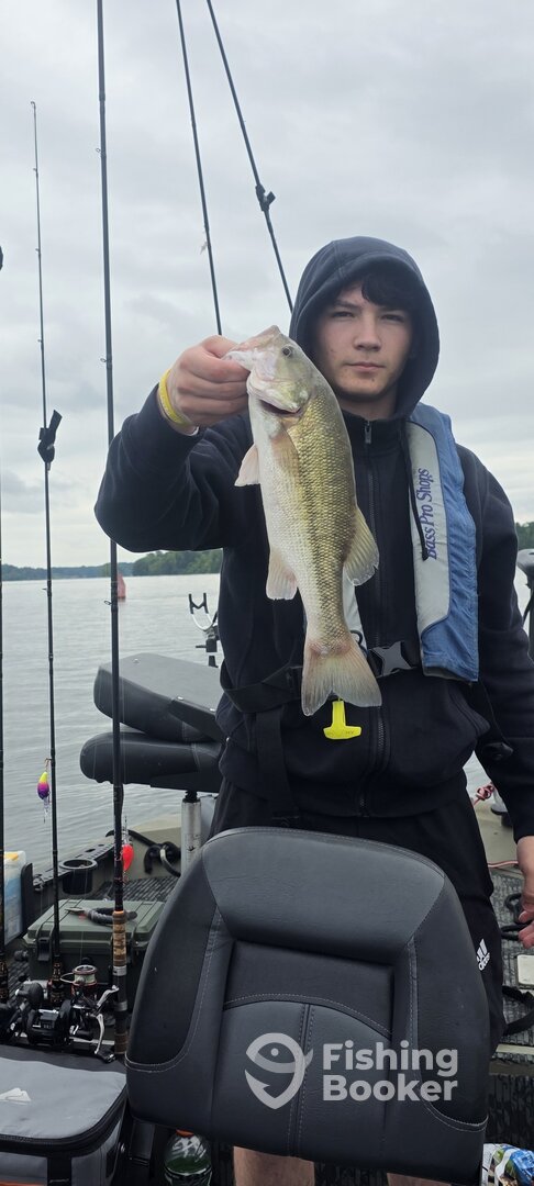 Harrison Report Photo 0