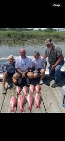 Hackberry Report Photo 2