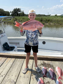 Hackberry Report Photo 1