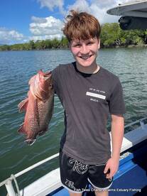 Mangrove jack