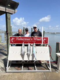 Incredible Kingfish Board