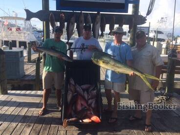 All Day grouper/amberjack trip