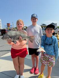 Nice black drum 