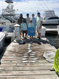 Fish on