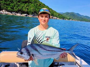 Gulf of California Report Photo 1