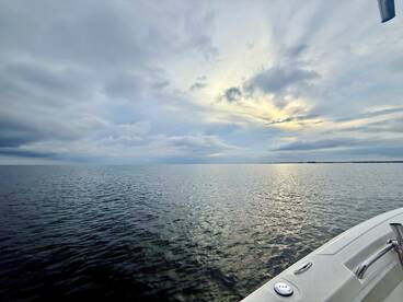 Gulf Breeze Report Photo 1