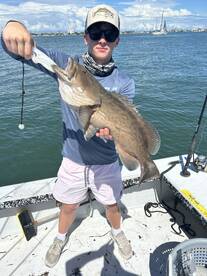Pinellas County Report Photo 1