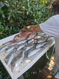 Pinellas County Report Photo 2