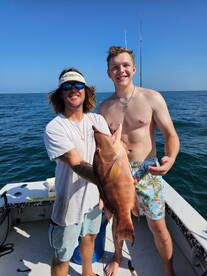 Pinellas County Report Photo 3