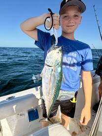 Gulf Breeze Report Photo 2