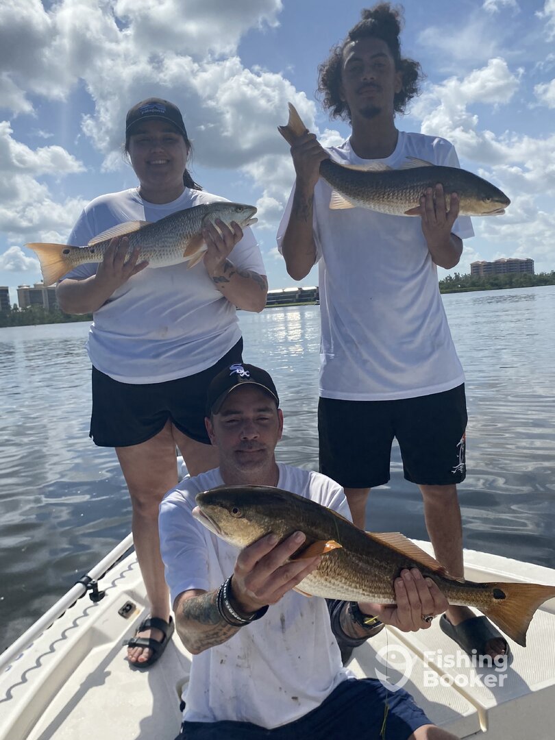 Punta Gorda Report Photo 0