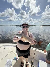 Punta Gorda Report Photo 1