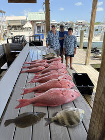 Chandeleur Islands Report Photo 1