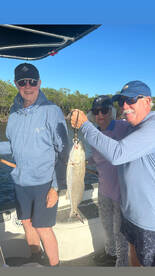 Goodland Report Photo 2