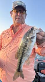 Branson Report Photo 1