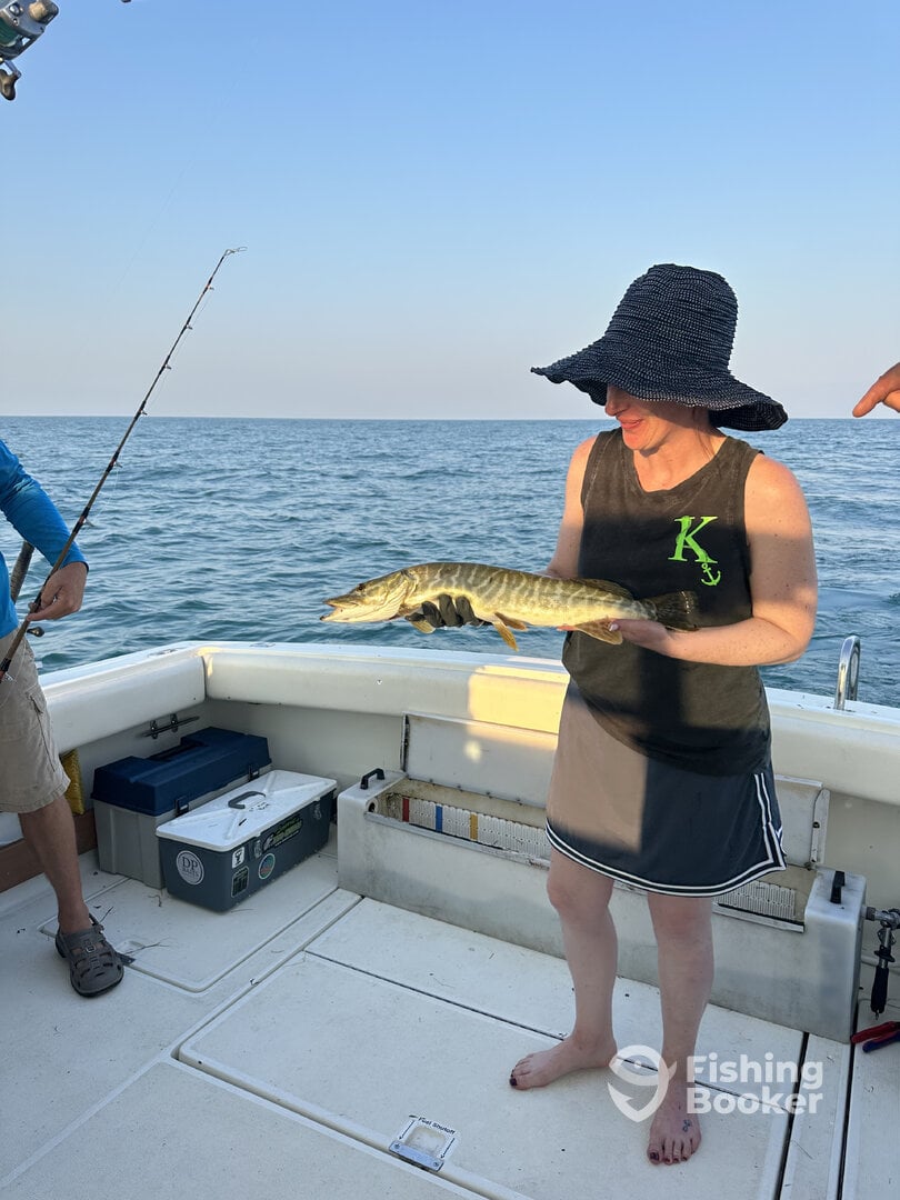 St. Clair Shores Report Photo 0