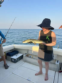 Michigan Report Photo 2