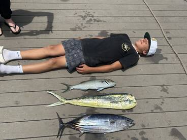 Haleiwa Report Photo 1