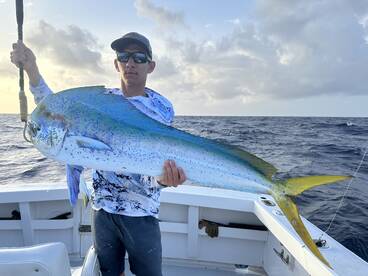 Blue mahi mahi