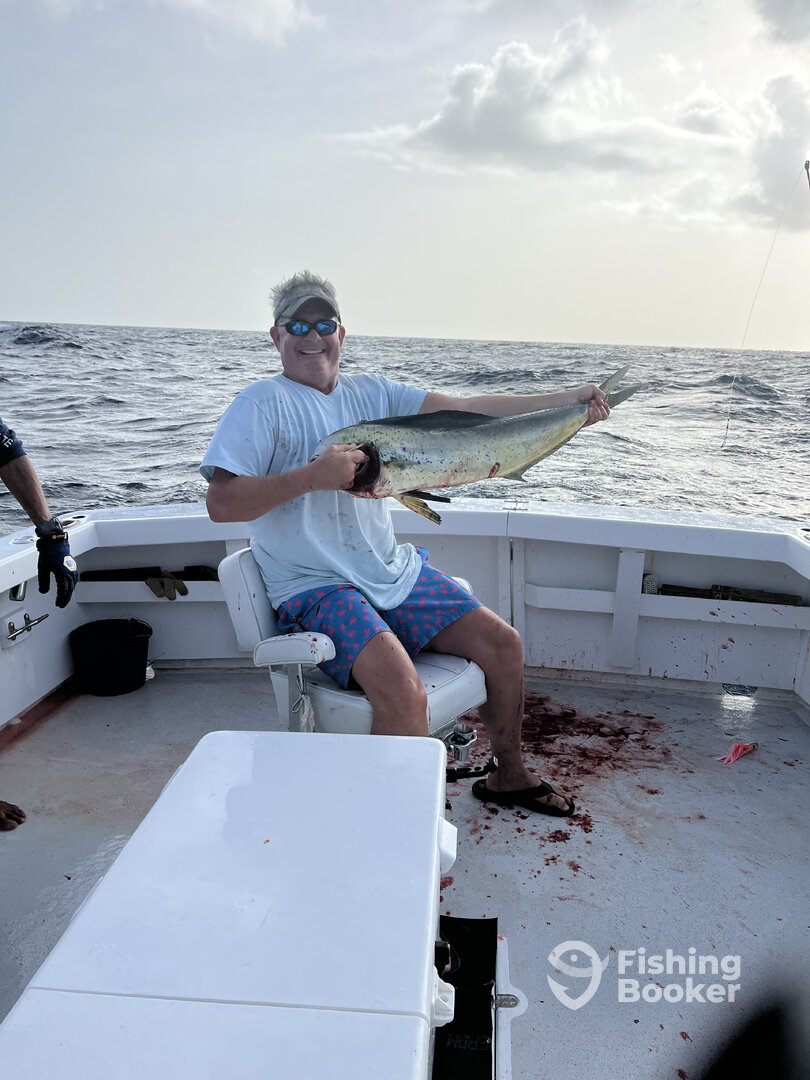 The warmup mahi's