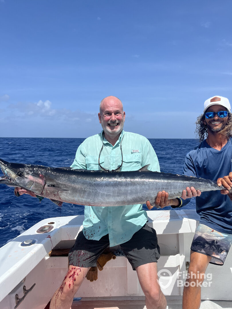 Wahoo