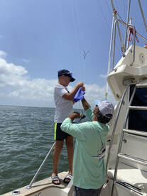 White Marlin with your name - Laurence