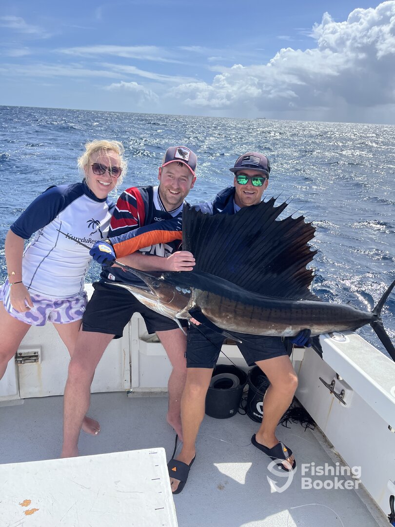 Sailfish