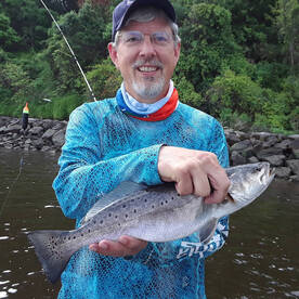 trout