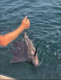 Destin Report Photo 1