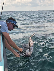 Destin Report Photo 2
