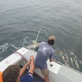 Narragansett Report Photo 1