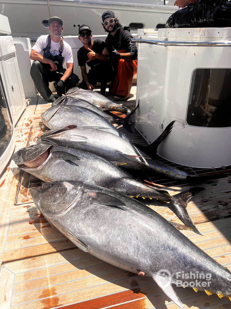 Catalina Island Report Photo 0