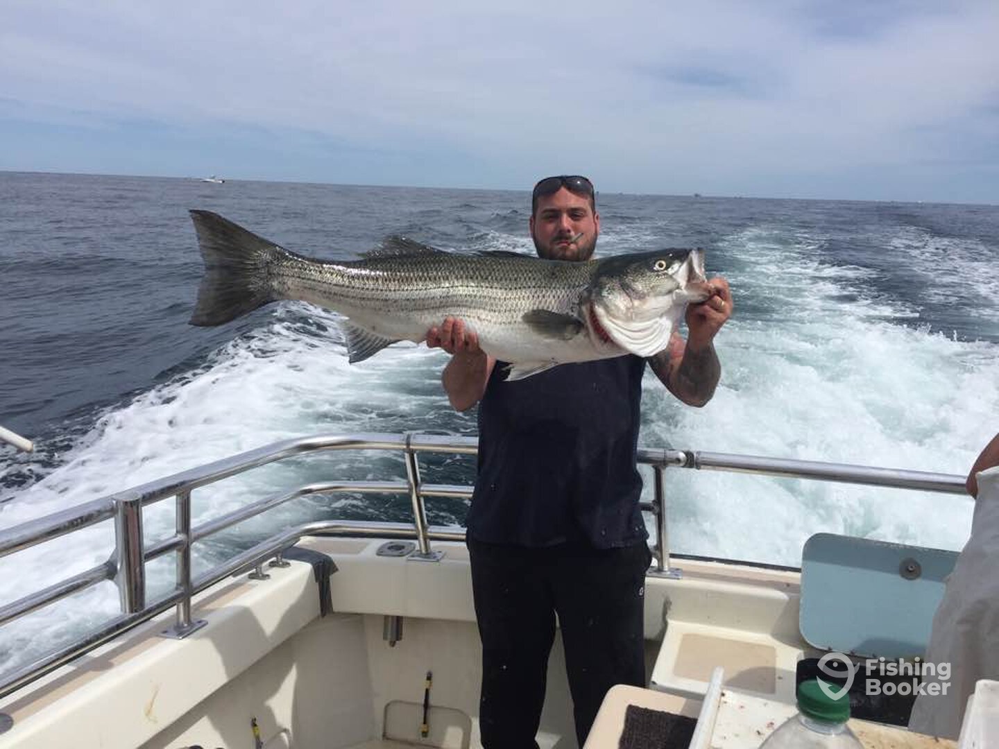 Montauk Report Photo 0