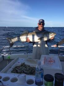 Montauk Report Photo 1