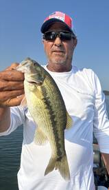 Branson Report Photo 1