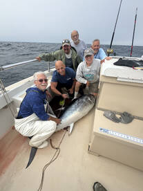 Montauk Report Photo 2