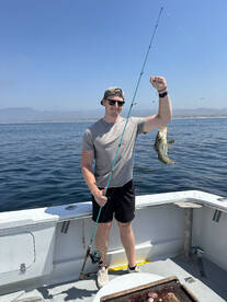 Oceanside Report Photo 2