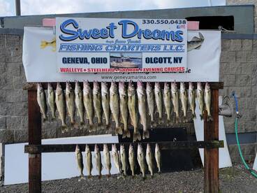 Ashtabula County Report Photo 4