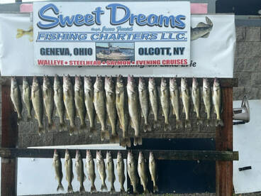 Ashtabula County Report Photo 2