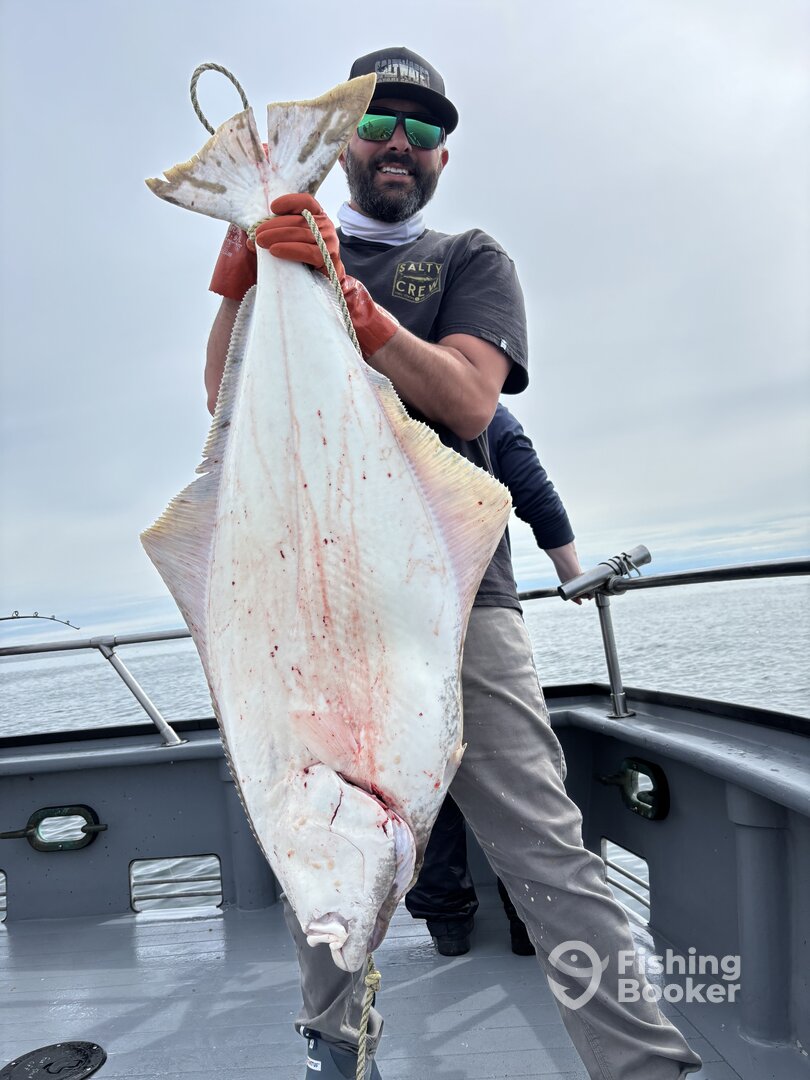 Alaska Report Photo 0