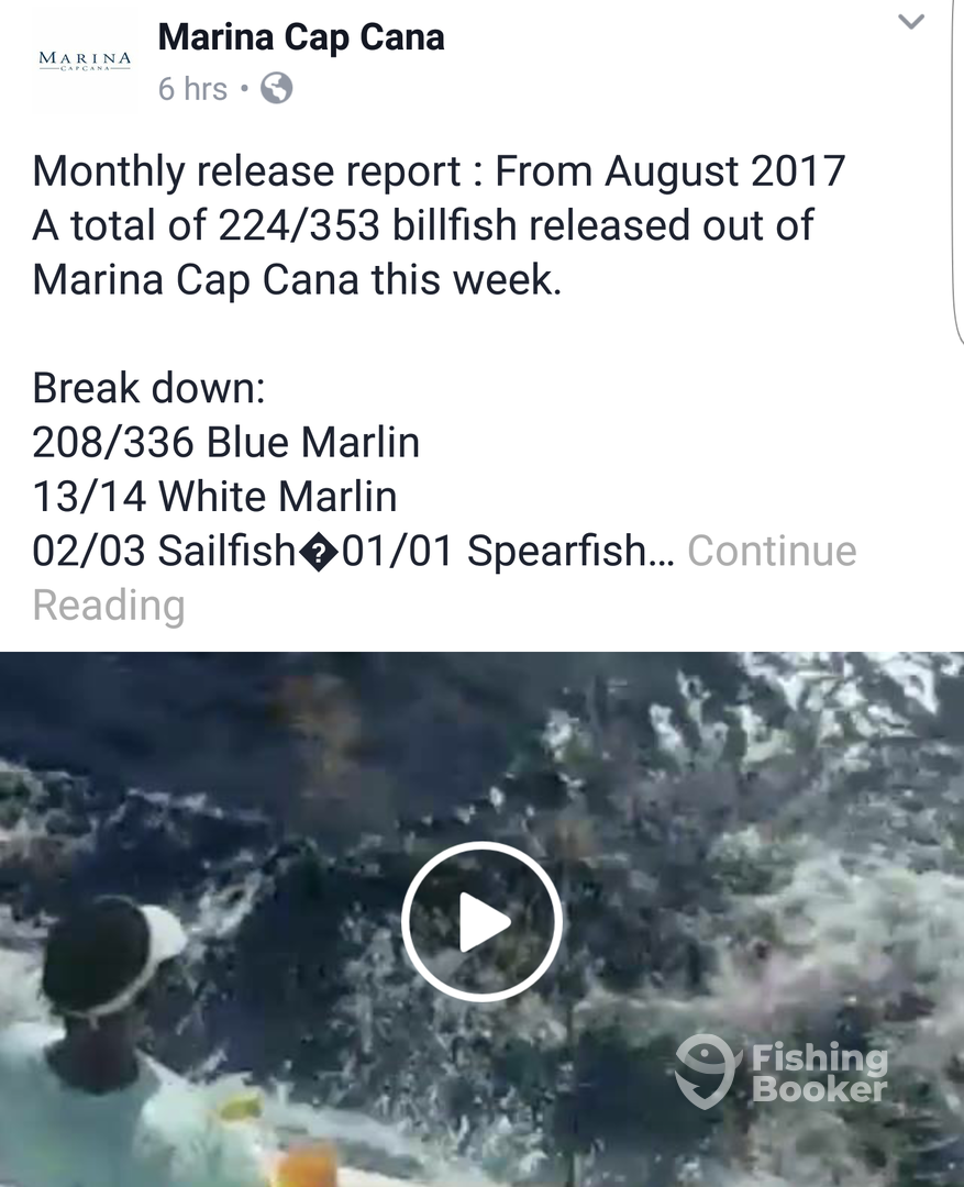 Punta Cana Report Photo 0
