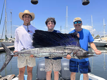 Mazatlán Report Photo 1