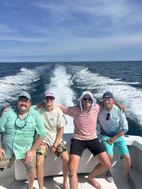 Billfish and Bailer dolphin