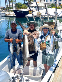 Baja California Sur Report Photo 3