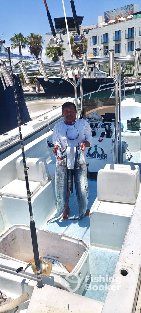 San Jose del Cabo Report Photo 0